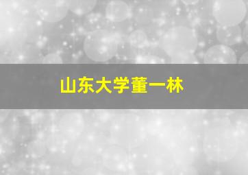 山东大学董一林