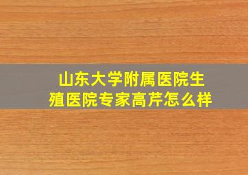 山东大学附属医院生殖医院专家高芹怎么样