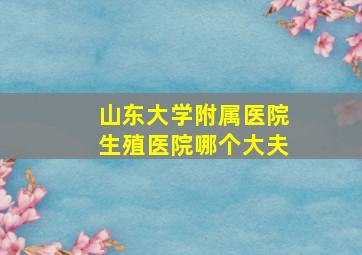 山东大学附属医院生殖医院哪个大夫