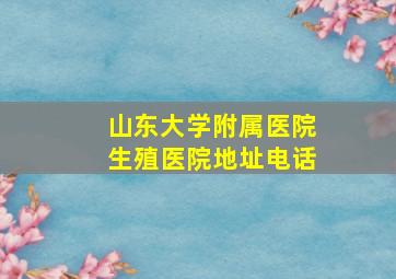 山东大学附属医院生殖医院地址电话