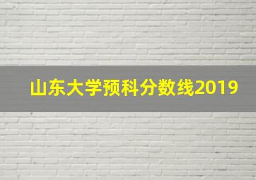 山东大学预科分数线2019