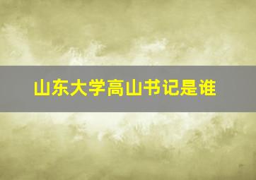 山东大学高山书记是谁