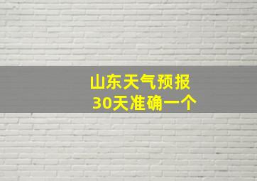 山东天气预报30天准确一个