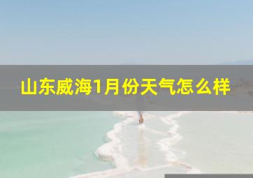 山东威海1月份天气怎么样