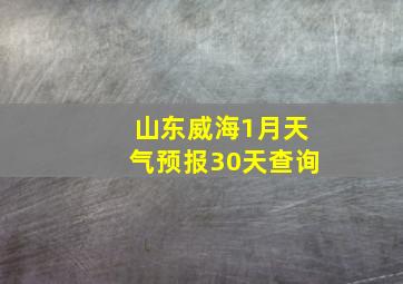 山东威海1月天气预报30天查询