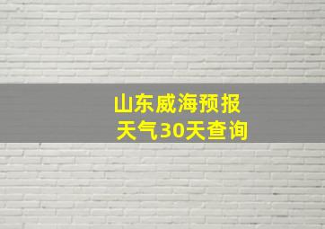 山东威海预报天气30天查询