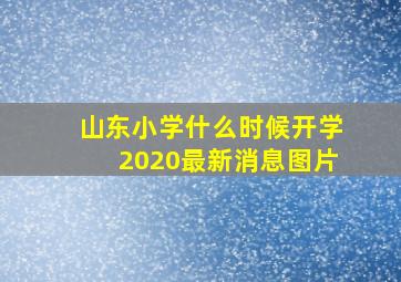 山东小学什么时候开学2020最新消息图片