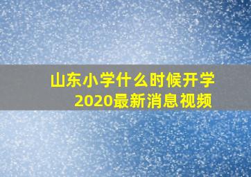 山东小学什么时候开学2020最新消息视频