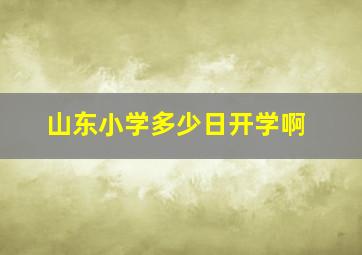 山东小学多少日开学啊