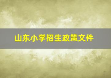 山东小学招生政策文件