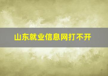 山东就业信息网打不开