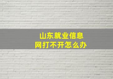 山东就业信息网打不开怎么办