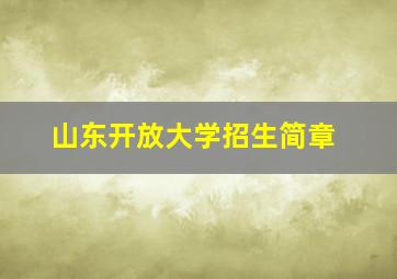 山东开放大学招生简章