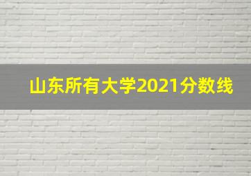 山东所有大学2021分数线