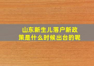 山东新生儿落户新政策是什么时候出台的呢