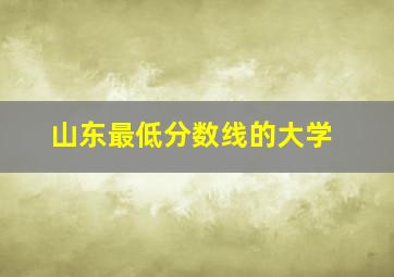 山东最低分数线的大学