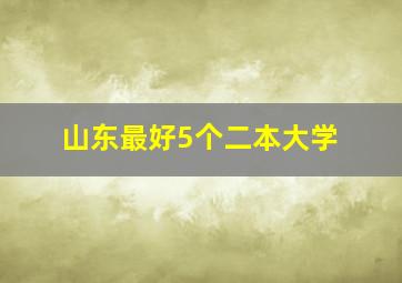 山东最好5个二本大学