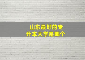 山东最好的专升本大学是哪个