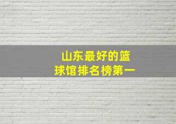 山东最好的篮球馆排名榜第一