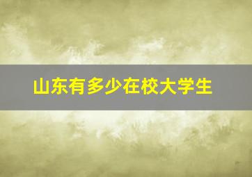 山东有多少在校大学生