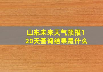 山东未来天气预报120天查询结果是什么