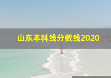 山东本科线分数线2020