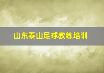 山东泰山足球教练培训