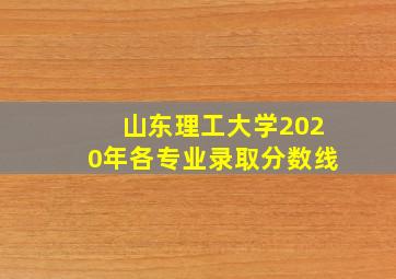 山东理工大学2020年各专业录取分数线