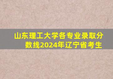 山东理工大学各专业录取分数线2024年辽宁省考生