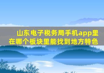 山东电子税务局手机app里在哪个板块里能找到地方特色