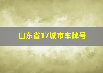 山东省17城市车牌号