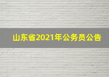 山东省2021年公务员公告