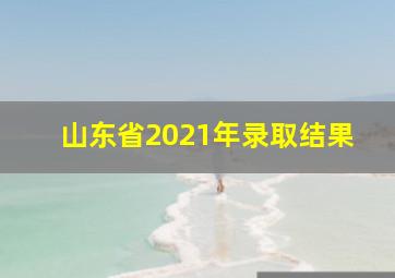 山东省2021年录取结果