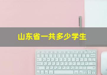 山东省一共多少学生