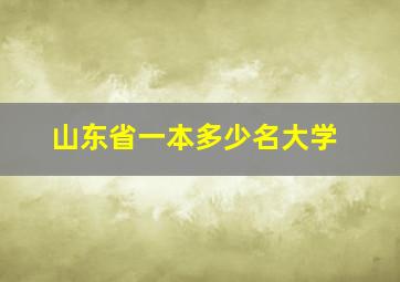 山东省一本多少名大学