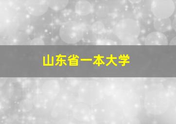 山东省一本大学