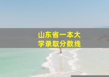 山东省一本大学录取分数线