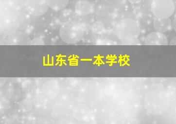 山东省一本学校