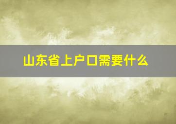 山东省上户口需要什么