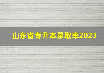 山东省专升本录取率2023