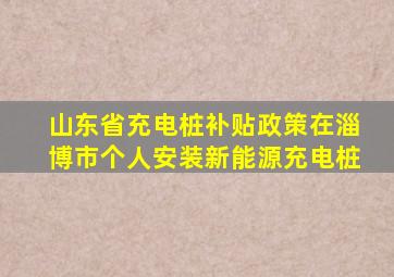 山东省充电桩补贴政策在淄博市个人安装新能源充电桩