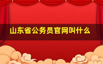 山东省公务员官网叫什么