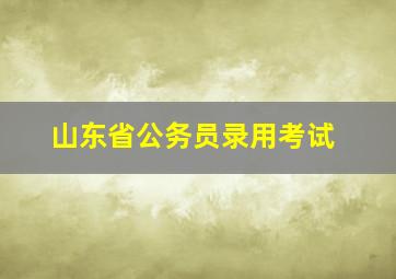 山东省公务员录用考试