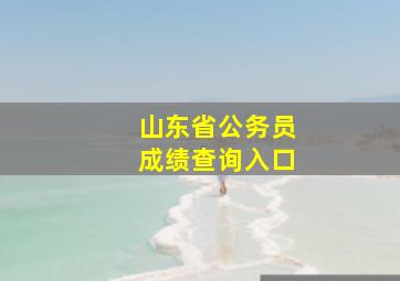 山东省公务员成绩查询入口