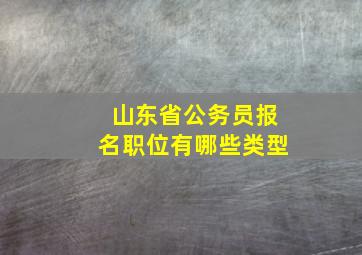 山东省公务员报名职位有哪些类型