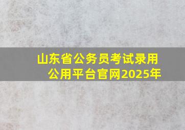 山东省公务员考试录用公用平台官网2025年