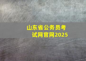 山东省公务员考试网官网2025