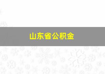 山东省公积金