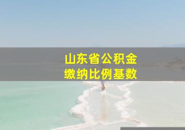 山东省公积金缴纳比例基数