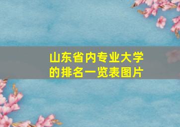 山东省内专业大学的排名一览表图片